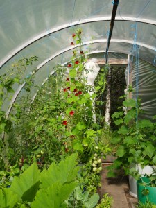 SAMSUNG DIGITAL CAMERA