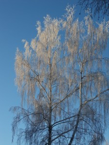 SAMSUNG DIGITAL CAMERA