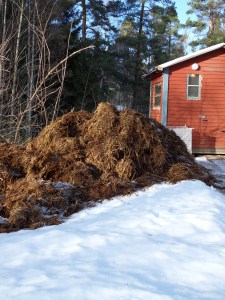 SAMSUNG DIGITAL CAMERA