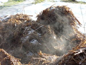 SAMSUNG DIGITAL CAMERA