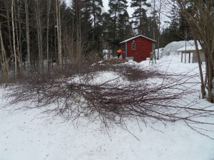 SAMSUNG DIGITAL CAMERA