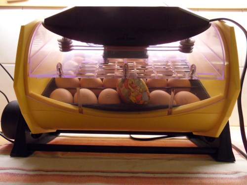 SAMSUNG DIGITAL CAMERA