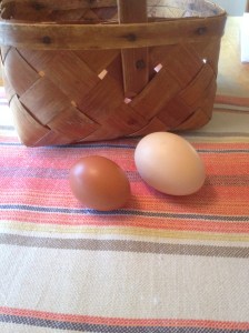 Sussexägg och Lohmanägg
