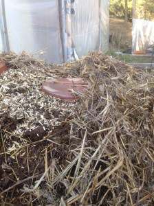 Rabarberkruka 11mars -14