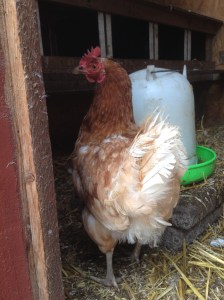 Jag överlevde attacken