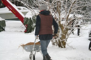 På väg till gödselhögen