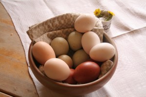 Isbar Maran Spanier Sussex