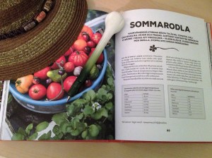 Lena Israelssons bok