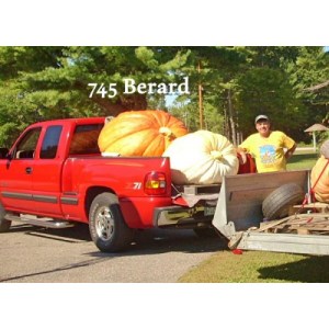 745-berard-15-500x500